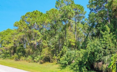 Northport Waterway Lakes and Canals Lot For Sale in North Port Florida