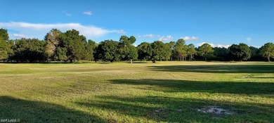 Collier County-Golden Gate Estates- BUILD a luxury custom home - photo 35