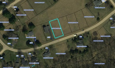 Build your dream home on this beautiful .76 acre elevated lot - photo 4