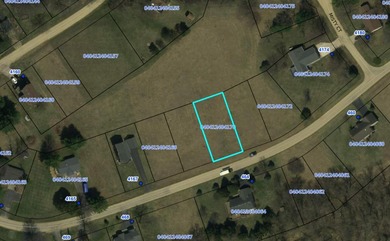 Build your dream home on this beautiful .76 acre elevated lot - photo 6