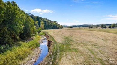 Lake Acreage For Sale in Summers, Arkansas