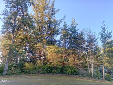 Come build your dream home on a .26 acre lot. A playground - photo 1