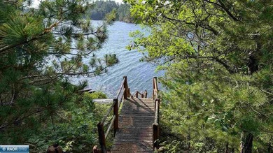 Rare opportunity to own 45 acres of mostly high-ground, classic - photo 11