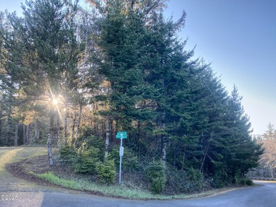 Come build your dream home on a .26 acre lot. A playground - photo 2