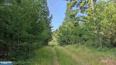 Rare opportunity to own 45 acres of mostly high-ground, classic - photo 12