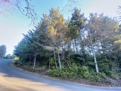 Come build your dream home on a .26 acre lot. A playground - photo 3