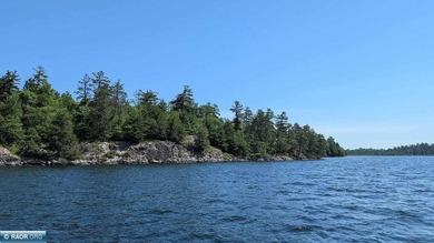 Rare opportunity to own 45 acres of mostly high-ground, classic - photo 14