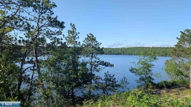 Rare opportunity to own 45 acres of mostly high-ground, classic - photo 15