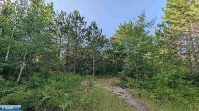 Rare opportunity to own 45 acres of mostly high-ground, classic - photo 17