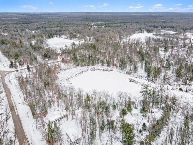 Lake Lot For Sale in Idlewild, Michigan