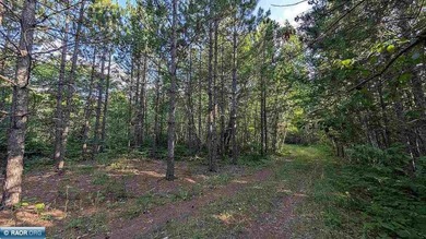 Rare opportunity to own 45 acres of mostly high-ground, classic - photo 21