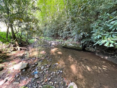 Lake Lot For Sale in Dugspur, Virginia