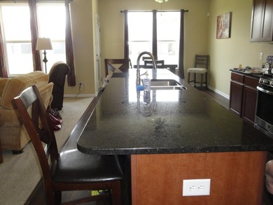As you enter the foyer the Villa's 9 Ft. ceilings allow the - photo 22