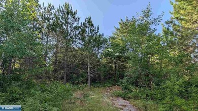 Rare opportunity to own 45 acres of mostly high-ground, classic - photo 23