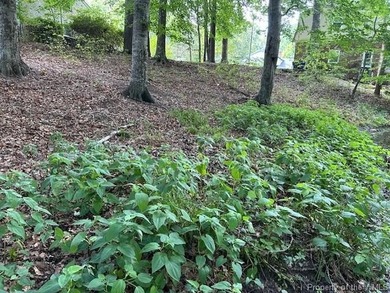 917 Lacon Dr lot: 984 - photo 9