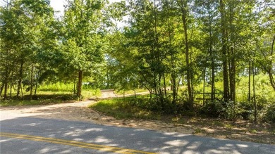 4.41 acre lot on Lake Harding with over 800 feet of waterfront - photo 4