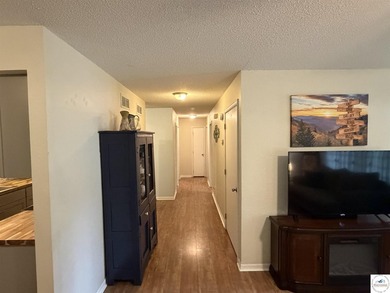 **Beautifully Updated Ranch Home in Warsaw, Missouri - Move-In - photo 5