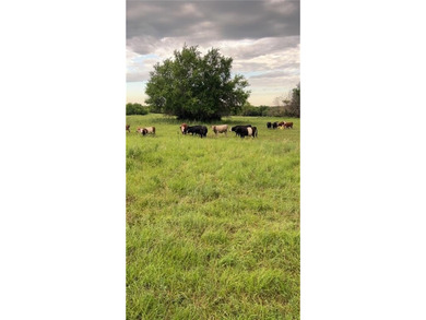 Lake Acreage For Sale in Kincaid, Kansas