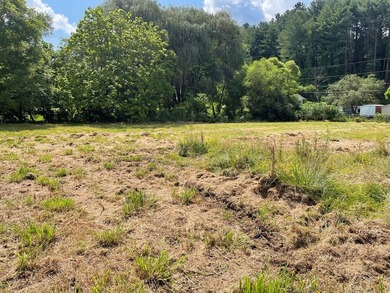 Build Your Dream Homestead on This Scenic 0.52-Acre Lot! Seize - photo 3