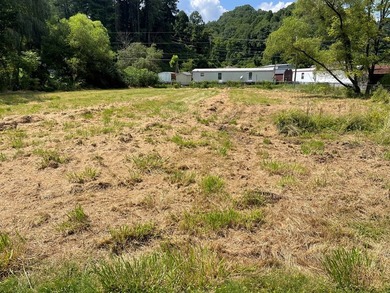 Build Your Dream Homestead on This Scenic 0.52-Acre Lot! Seize - photo 4
