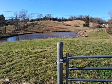 GREAT OPPORTUNITY & PRICE REDUCED $100,000! AMAZING 32.53 ACRES - photo 2