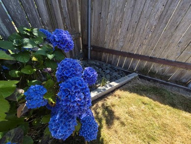 Beautifully Maintained Home Near the Ocean & Redwood National - photo 13