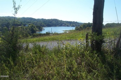 GREAT OPPORTUNITY & PRICE REDUCED $100,000! AMAZING 32.53 ACRES - photo 5