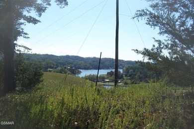 GREAT OPPORTUNITY & PRICE REDUCED $100,000! AMAZING 32.53 ACRES - photo 6