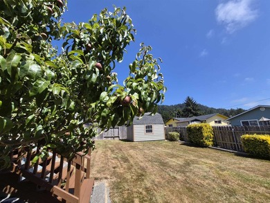Beautifully Maintained Home Near the Ocean & Redwood National - photo 17