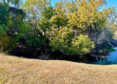 Discover easy Florida living in this updated 2BD/2BA home - photo 18