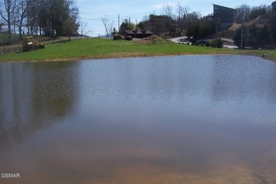 GREAT OPPORTUNITY & PRICE REDUCED $100,000! AMAZING 32.53 ACRES - photo 9