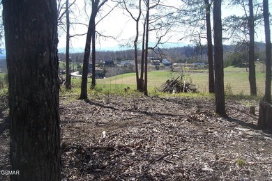 GREAT OPPORTUNITY & PRICE REDUCED $100,000! AMAZING 32.53 ACRES - photo 10