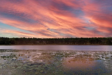 Lake Home For Sale in Weirsdale, Florida