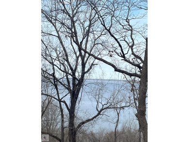 Millwood Lake Home For Sale in Saratoga Arkansas