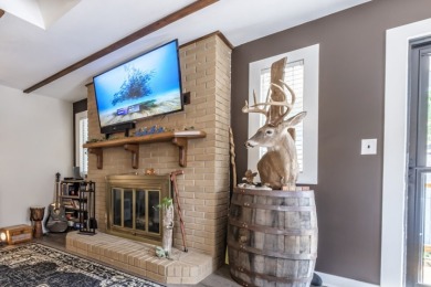 4 BR. Dock. Big Lake Views & a Tree House Too! - photo 10