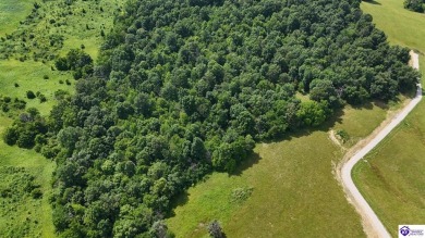 Nolin Lake Acreage For Sale in Clarkson Kentucky