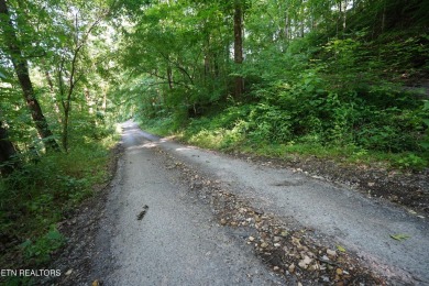 Lake Lot For Sale in Smithville, Tennessee