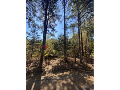 Greers Ferry Lake Lot For Sale in Greers Ferry Arkansas