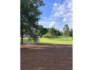 Secure your piece of one of Northwest Florida's fastest-growing - photo 6