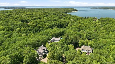 One of the most exceptional spots in Laurel Hollow, this 5 - photo 2