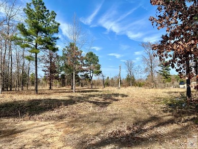 Millwood Lake Lot For Sale in Ashdown Arkansas
