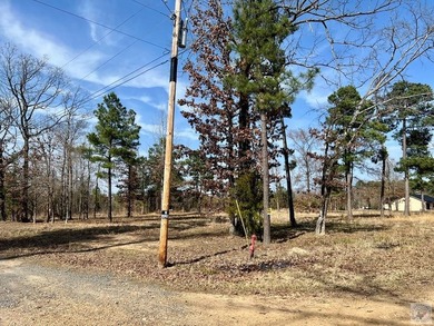 Enjoy the best of country living with lake and golf access at - photo 2
