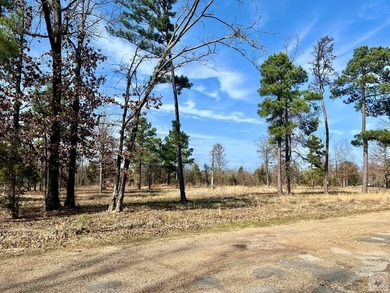 Enjoy the best of country living with lake and golf access at - photo 3