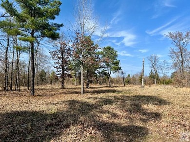 Enjoy the best of country living with lake and golf access at - photo 4