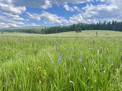 The Sproul Ranch is one of the premier working cattle ranches in - photo 5