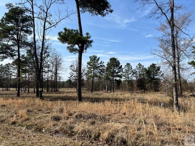 Enjoy the best of country living with lake and golf access at - photo 5