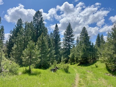 The Sproul Ranch is one of the premier working cattle ranches in - photo 8