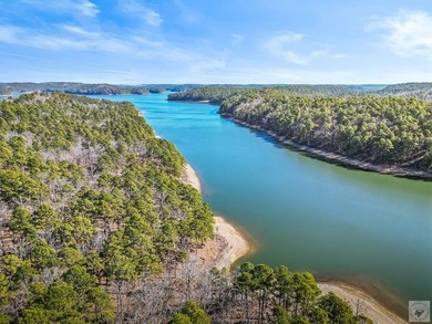 Escape to Your Own Off-Grid Lakefront Retreat on Lake Greeson! - photo 3