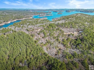 Escape to Your Own Off-Grid Lakefront Retreat on Lake Greeson! - photo 7
