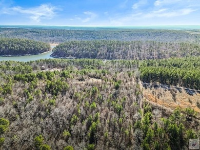 Escape to Your Own Off-Grid Lakefront Retreat on Lake Greeson! - photo 9